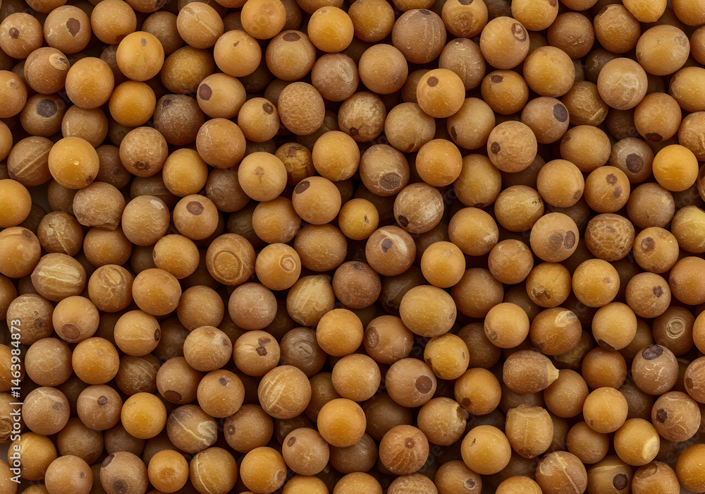 Mustard Seeds Macro Photo Illustrating Texture and Yellowish Brown Color Mustard Seeds Macro Photo Illustrating Texture and Yellowish Brown Color