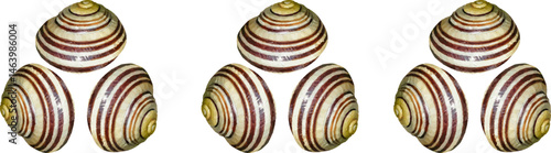 fabric44