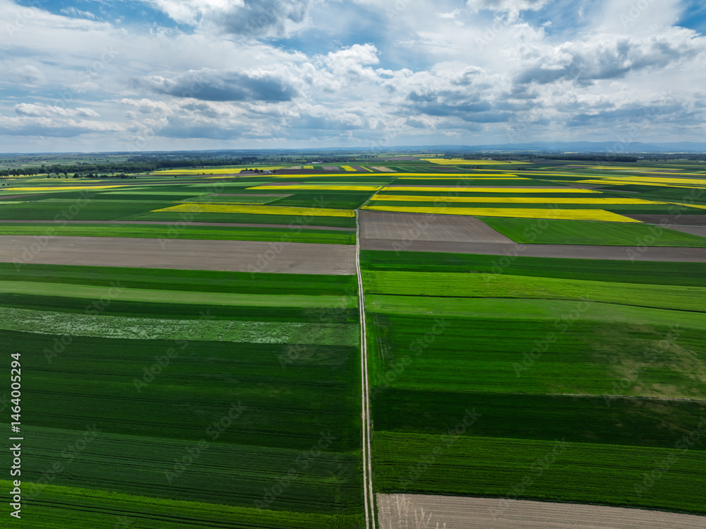 Aerial drone view of beautiful yellow fields rapeseed.Village country farming shapes in fields. Spring fields of yellow blooming rapeseed, growing plants. Fields in the Opole village from a drone.