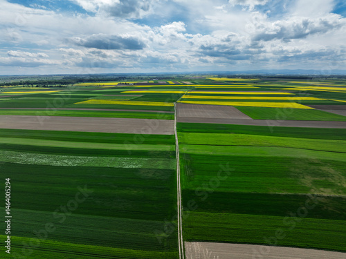 Obraz na płótnie Aerial drone view of beautiful yellow fields rapeseed.Village country farming shapes in fields. Spring fields of yellow blooming rapeseed, growing plants. Fields in the Opole village from a drone. w salonie