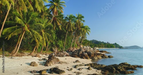 Tropical beach with palm trees rising on the white sand and rocks on the shore of Koh Samui, Thailand, bathed in sunlight with crystal-clear turquoise water