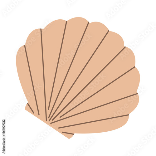 Sea shell, mollusk. Trendy flat cartoon illustration of seashell isolated on white background. Ocean exotic underwater sea shell conch aquatic mollusk, sea spiral snail. Tropical beach shells.