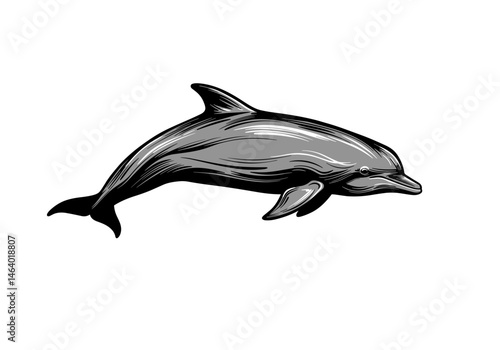 Stylized vector drawing of a dolphin in profile. Smooth lines and oceanic aesthetic make it suitable for marine, educational, or conservation themes.