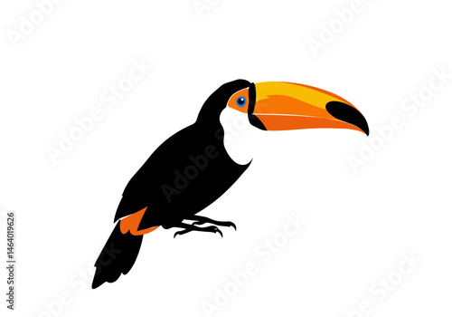 Minimalist vector drawing of a toucan bird with a large vibrant orange and yellow beak, perched on a branch. Ideal for nature themes, tropical designs, and educational graphics.