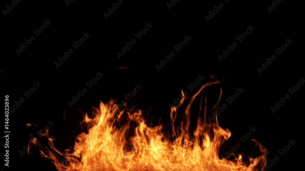 Fire Burning Background Alpha Channel Overlay Fire Burning Background Alpha Channel Overlay