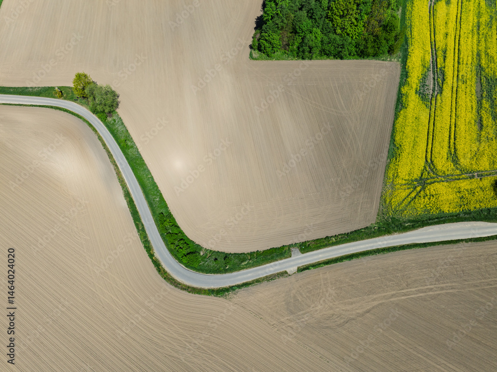 Aerial drone view of beautiful yellow fields rapeseed.Village country farming shapes in fields. Spring fields of yellow blooming rapeseed, growing plants. Fields in the Opole village from a drone.