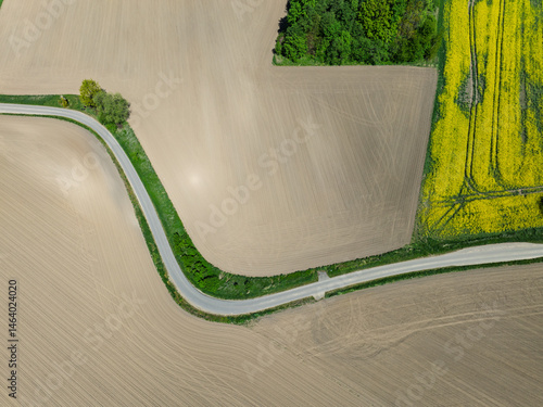 Obraz na płótnie Aerial drone view of beautiful yellow fields rapeseed.Village country farming shapes in fields. Spring fields of yellow blooming rapeseed, growing plants. Fields in the Opole village from a drone. w salonie