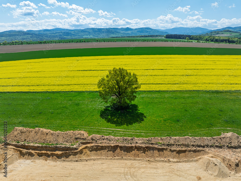 Aerial drone view of beautiful yellow fields rapeseed.Village country farming shapes in fields. Spring fields of yellow blooming rapeseed, growing plants. Fields in the Opole village from a drone.