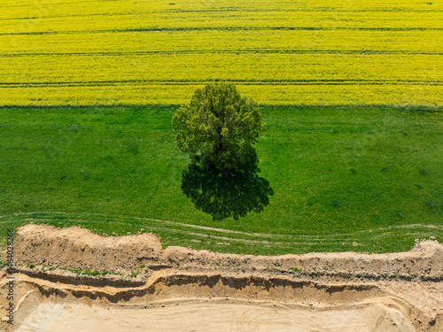 Obraz na płótnie Aerial drone view of beautiful yellow fields rapeseed.Village country farming shapes in fields. Spring fields of yellow blooming rapeseed, growing plants. Fields in the Opole village from a drone. w salonie