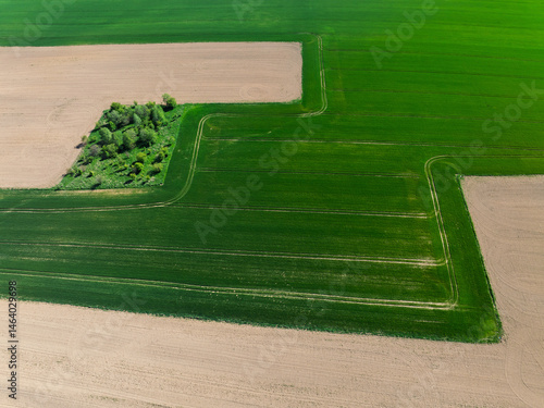 Obraz na płótnie Aerial drone view of beautiful yellow fields rapeseed.Village country farming shapes in fields. Spring fields of yellow blooming rapeseed, growing plants. Fields in the Opole village from a drone. w salonie