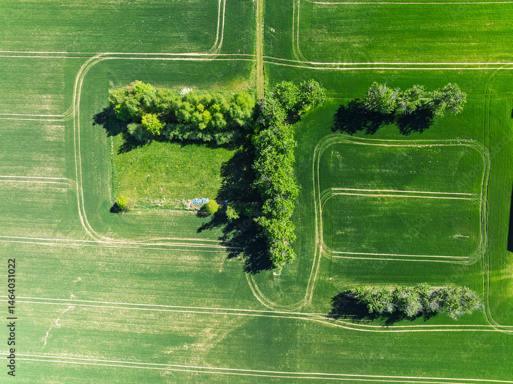 Aerial drone view of beautiful yellow fields rapeseed.Village country farming shapes in fields. Spring fields of yellow blooming rapeseed, growing plants. Fields in the Opole village from a drone.