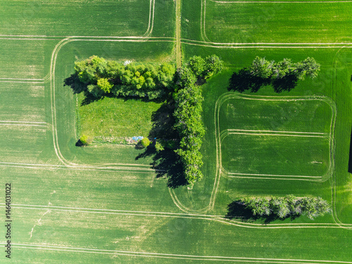 Obraz na płótnie Aerial drone view of beautiful yellow fields rapeseed.Village country farming shapes in fields. Spring fields of yellow blooming rapeseed, growing plants. Fields in the Opole village from a drone. w salonie