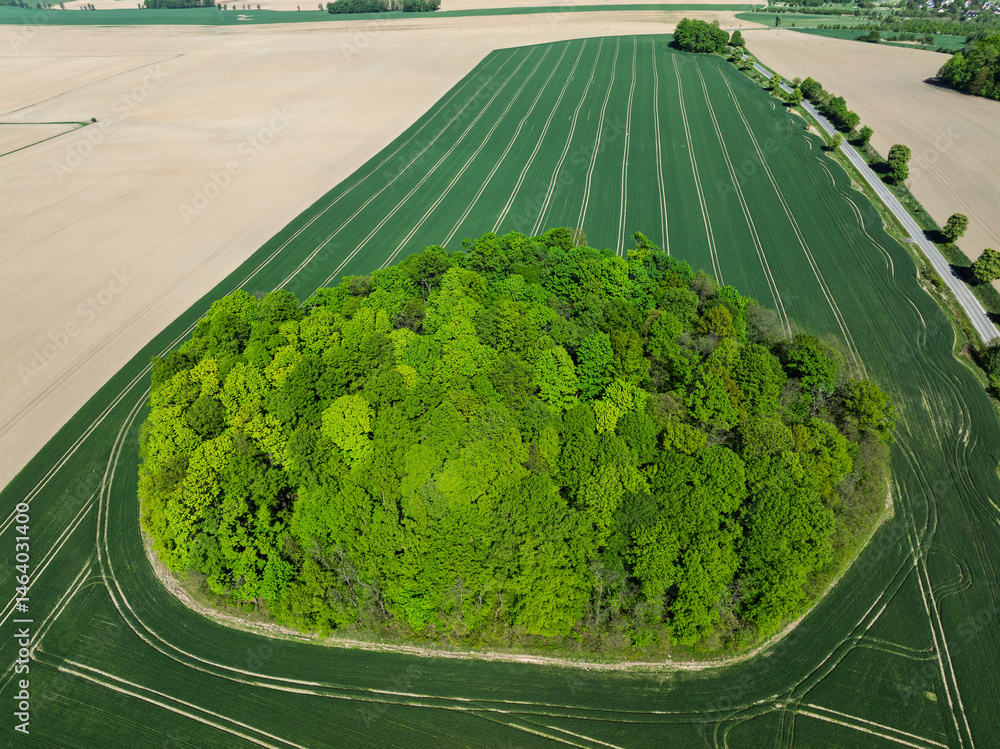 Aerial drone view of beautiful yellow fields rapeseed.Village country farming shapes in fields. Spring fields of yellow blooming rapeseed, growing plants. Fields in the Opole village from a drone.
