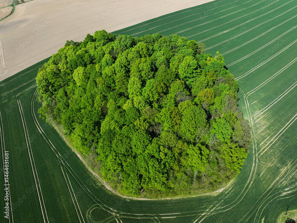 Aerial drone view of beautiful yellow fields rapeseed.Village country farming shapes in fields. Spring fields of yellow blooming rapeseed, growing plants. Fields in the Opole village from a drone.