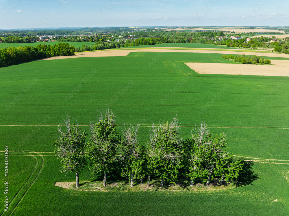 Aerial drone view of beautiful yellow fields rapeseed.Village country farming shapes in fields. Spring fields of yellow blooming rapeseed, growing plants. Fields in the Opole village from a drone.