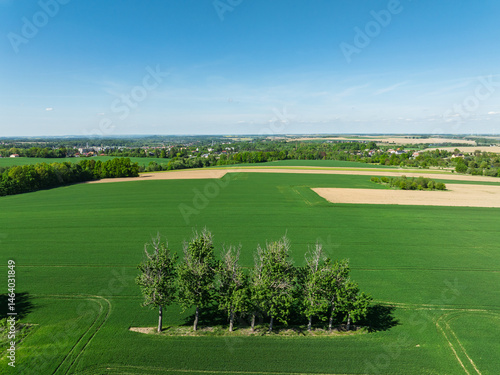 Obraz na płótnie Aerial drone view of beautiful yellow fields rapeseed.Village country farming shapes in fields. Spring fields of yellow blooming rapeseed, growing plants. Fields in the Opole village from a drone. w salonie