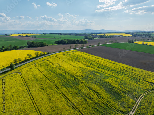 Obraz na płótnie Aerial drone view of beautiful yellow fields rapeseed.Village country farming shapes in fields. Spring fields of yellow blooming rapeseed, growing plants. Fields in the Opole village from a drone. w salonie