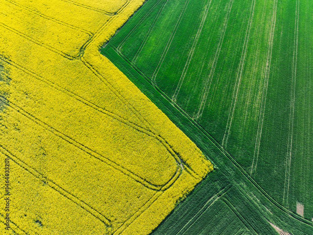 Aerial drone view of beautiful yellow fields rapeseed.Village country farming shapes in fields. Spring fields of yellow blooming rapeseed, growing plants. Fields in the Opole village from a drone.