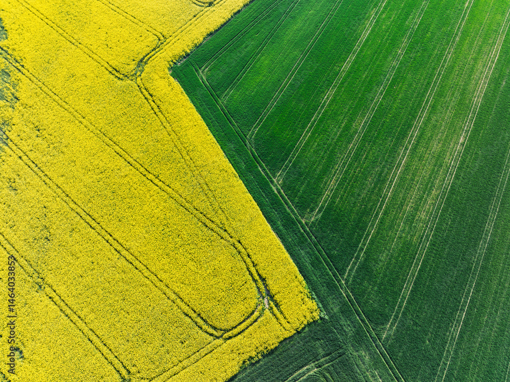 Aerial drone view of beautiful yellow fields rapeseed.Village country farming shapes in fields. Spring fields of yellow blooming rapeseed, growing plants. Fields in the Opole village from a drone.