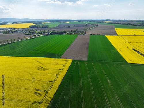Obraz na płótnie Aerial drone view of beautiful yellow fields rapeseed.Village country farming shapes in fields. Spring fields of yellow blooming rapeseed, growing plants. Fields in the Opole village from a drone. w salonie