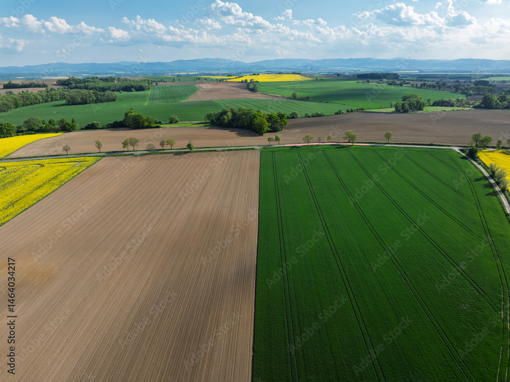 Aerial drone view of beautiful yellow fields rapeseed.Village country farming shapes in fields. Spring fields of yellow blooming rapeseed, growing plants. Fields in the Opole village from a drone.