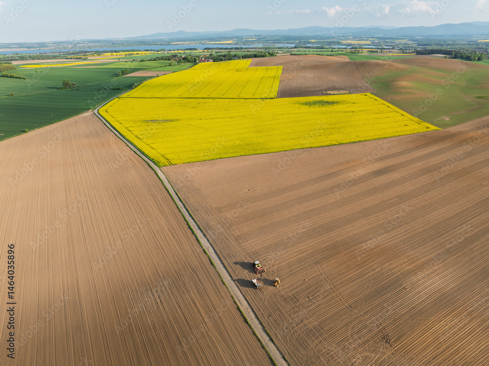 Aerial drone view of beautiful yellow fields rapeseed.Village country farming shapes in fields. Spring fields of yellow blooming rapeseed, growing plants. Fields in the Opole village from a drone.