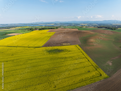 Obraz na płótnie Aerial drone view of beautiful yellow fields rapeseed.Village country farming shapes in fields. Spring fields of yellow blooming rapeseed, growing plants. Fields in the Opole village from a drone. w salonie