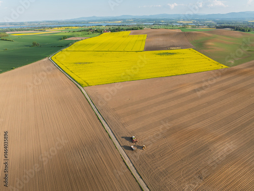 Obraz na płótnie Aerial drone view of beautiful yellow fields rapeseed.Village country farming shapes in fields. Spring fields of yellow blooming rapeseed, growing plants. Fields in the Opole village from a drone. w salonie