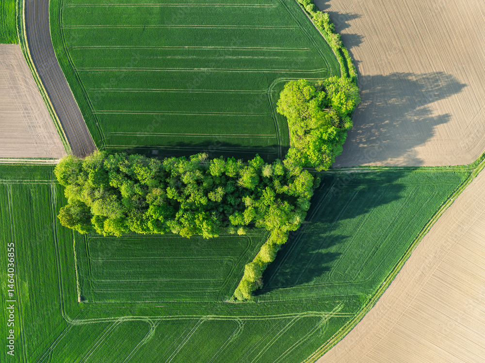 Aerial drone view of beautiful yellow fields rapeseed.Village country farming shapes in fields. Spring fields of yellow blooming rapeseed, growing plants. Fields in the Opole village from a drone.