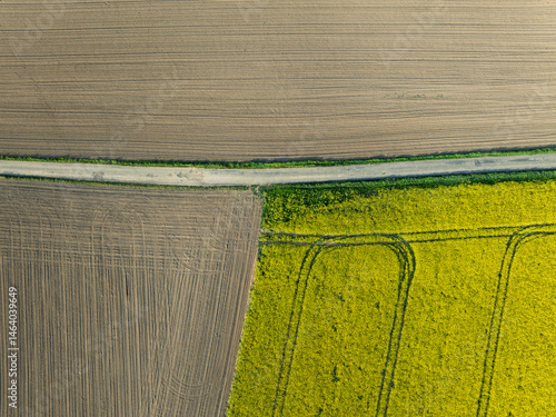 Obraz na płótnie Aerial drone view of beautiful yellow fields rapeseed.Village country farming shapes in fields. Spring fields of yellow blooming rapeseed, growing plants. Fields in the Opole village from a drone. w salonie