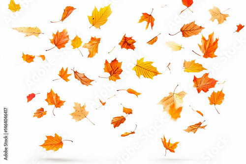 Falling Autumn Leaves Isolated on White Background.