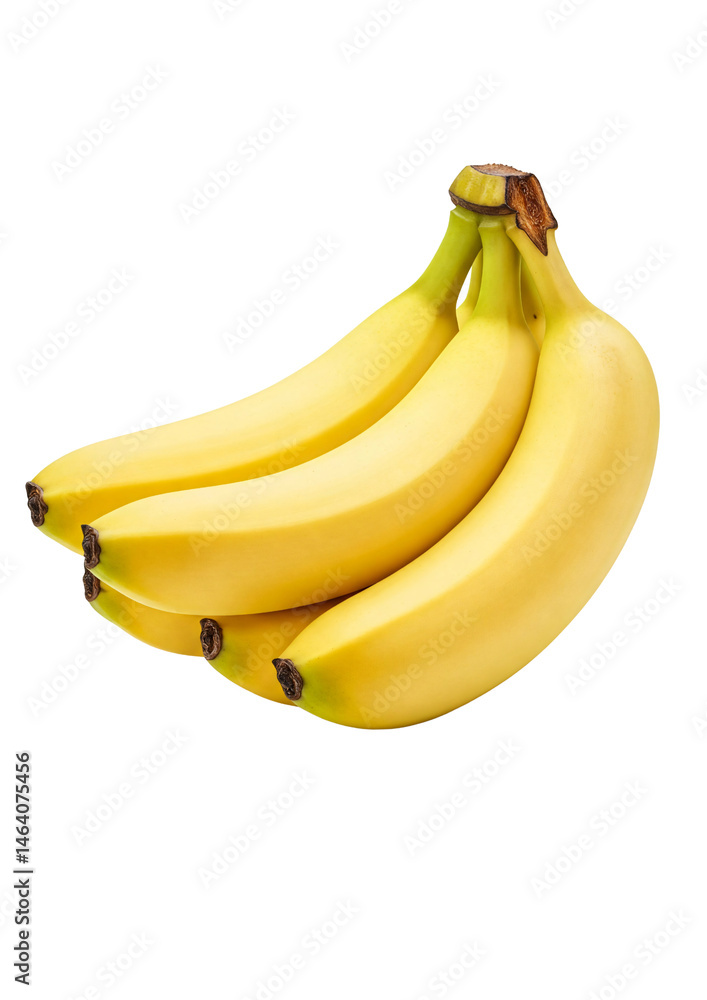Isolated Bunch of Fresh Ripe Yellow Bananas on Transparent Background – Healthy Organic Tropical Fruit for Food Design, Packaging, Nutrition Concepts, and Advertising Use Isolated Bunch of Fresh Ripe Yellow Bananas on Transparent Background – Healthy Organic Tropical Fruit for Food Design, Packaging, Nutrition Concepts, and Advertising Use