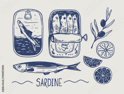 Sardines in a can, fish, seafood, vector illustration set, hand drawn sketch
