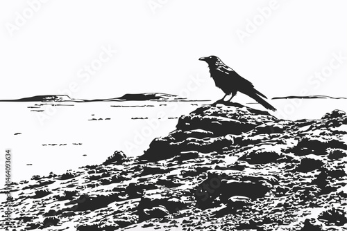 94 Black and white photography, lone crow, rocky outcrop, desolate landscape, barren horizon, stark contrast, minimalist composition, textured stone, desert-like terrain, monochrome aesthetic, detaile