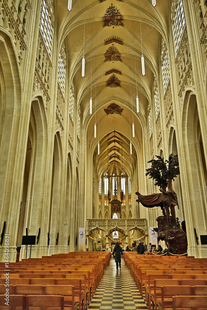 Lovanio - Leuven, interno della Collegiata di San Pietro, Brabante - Belgio