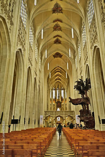 Obraz na płótnie Lovanio - Leuven, interno della Collegiata di San Pietro, Brabante - Belgio w salonie