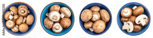 PNG set of Champignon Mushrooms in Bowls, Transparent Background Healthy ingredient