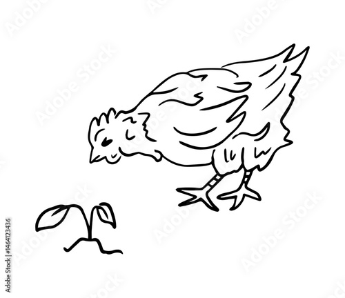 Homemade chicken and flower, vector drawing in doodle style. Farm animals is a monochrome hand-drawn contour illustration. A happy chicken for a brand of home products.