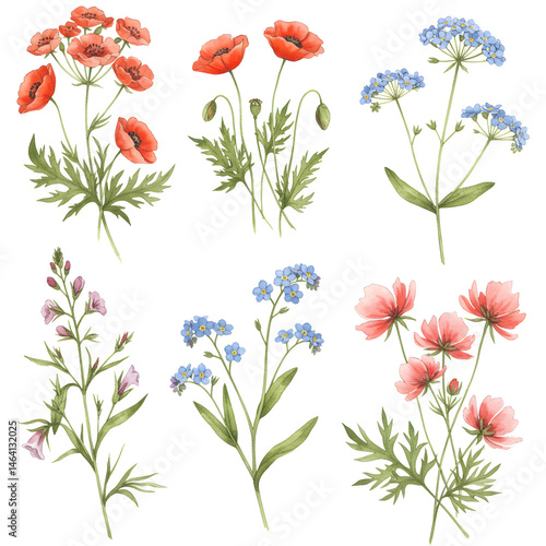 Wallpaper Mural Watercolor Floral Illustration Set with Red and Blue Flowers Torontodigital.ca