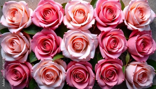 Delicate rose blossoms arranged in a square grid , romantic, seamless