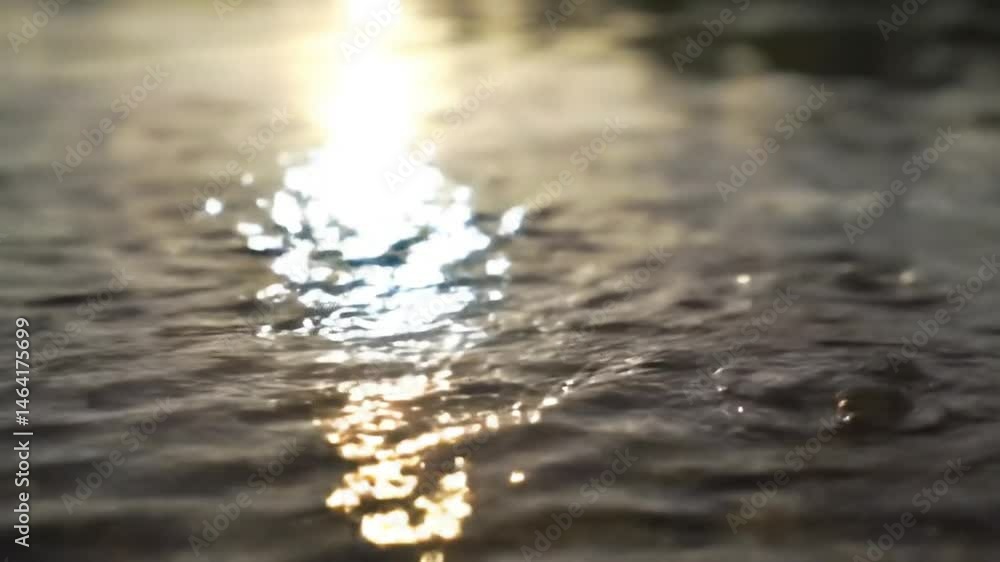 Macro close-up of soft waves spreading across a pond in the calm light of dawn Macro close-up of soft waves spreading across a pond in the calm light of dawn