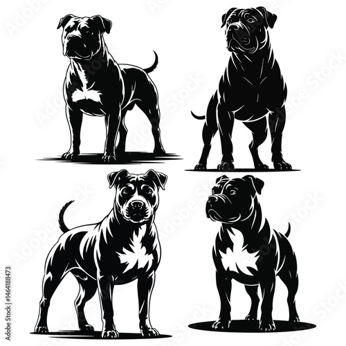 Bulldog vector Saint Bernard Icon Dog Black Silhouette Puppy Pictogram Pet Outline Saint Ber