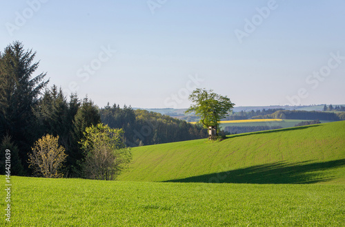 Obraz na płótnie spring landscape with meadows and fiels of suedeifel in the morning of a clear day w salonie