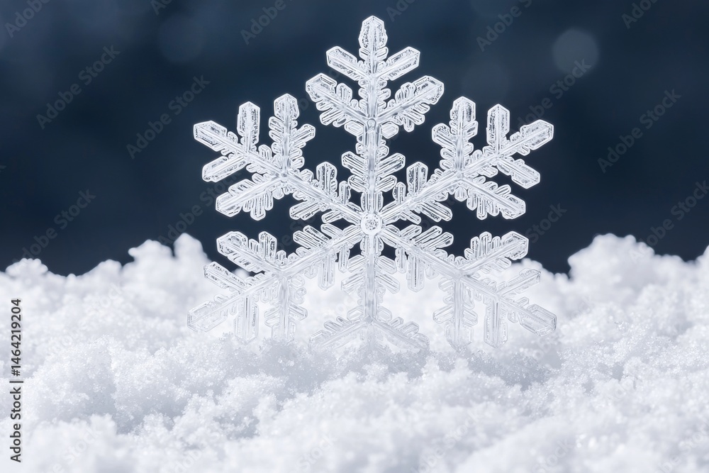 Snowflake resting on soft, white snow with a blurred background. Ice and snow formations snowflake concept. Snowflake resting on soft, white snow with a blurred background. Ice and snow formations snowflake concept.