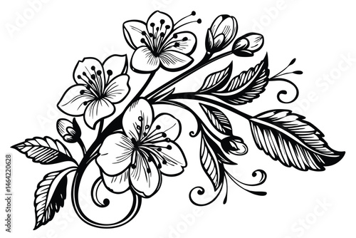 20 Elegant floral illustration, black and white ink drawing, intricate botanical details, symmetrical flower arrangement, delicate petals and leaves, ornate line work, vintage botanical style, decorat
