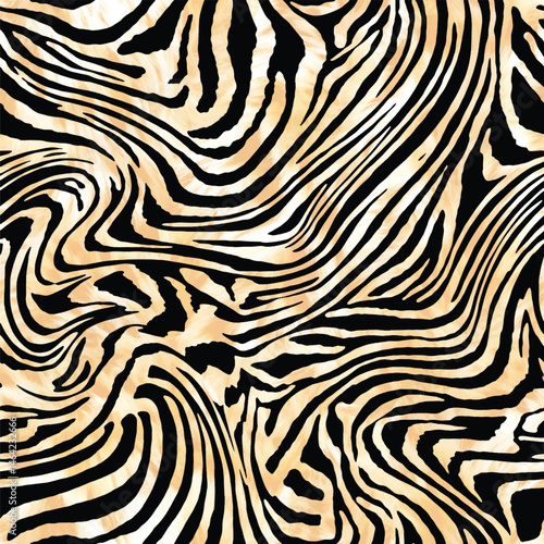 298-zebra.eps