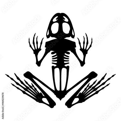 Skeletal system of animals. Black frog bone structure isolated on a white background. Amphibian silhouette.
