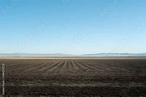 Obraz na płótnie Vast Expanse of Freshly Tilled Land Under a Clear Sky Awaits New Crops w salonie