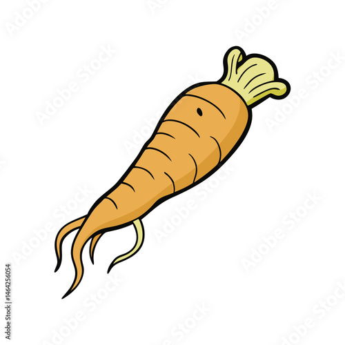 Ginseng root vector illustration. medicinal herb drawing, traditional healing plant, organic botanical element, isolated