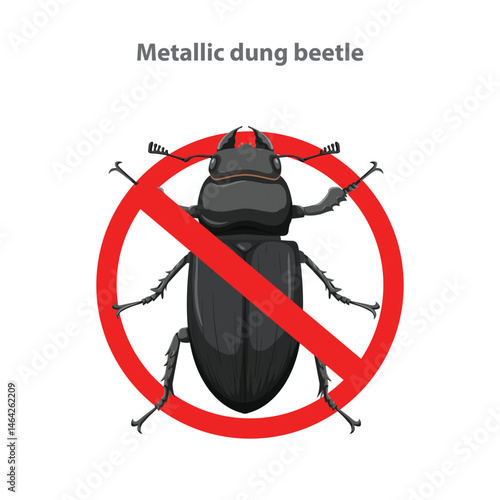 No Metallic dung beetle sign. A warning sign indicating the prohibition of a Metallic dung beetle.